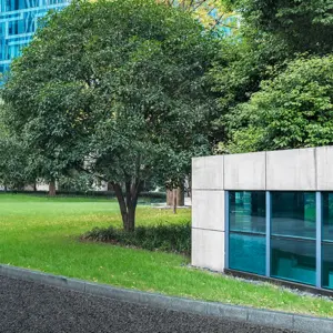 Baum auf gepflegter Grünfläche vor einem modernen Gewerbegebäude